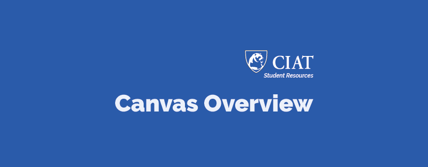 Canvas Overview